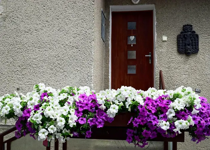 Apartman Martin